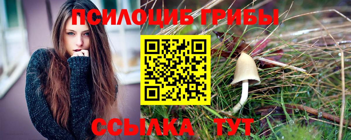 Псилоцибиновые грибы GOLDEN TEACHER  Псилоцибиновые грибы ЛСД  Уфа  закладки  Вход с VPN 