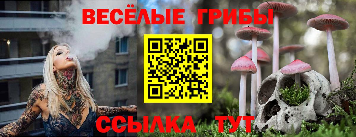 Псилоцибиновые грибы GOLDEN TEACHER Уфа